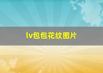 lv包包花纹图片