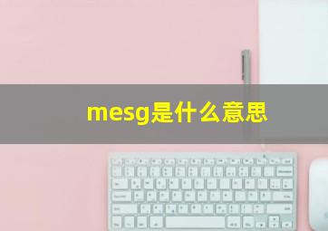 mesg是什么意思