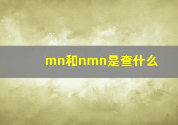 mn和nmn是查什么