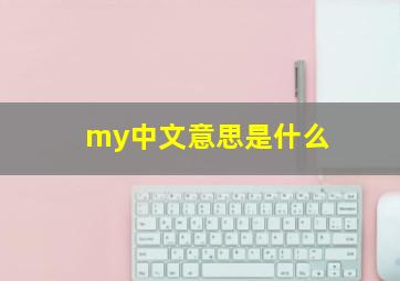 my中文意思是什么