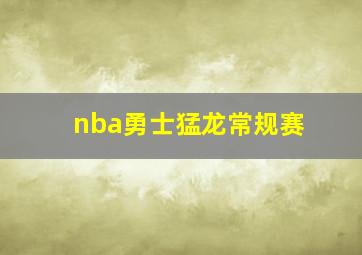 nba勇士猛龙常规赛