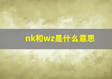 nk和wz是什么意思