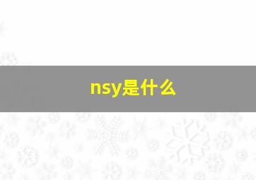 nsy是什么