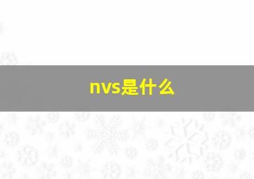 nvs是什么