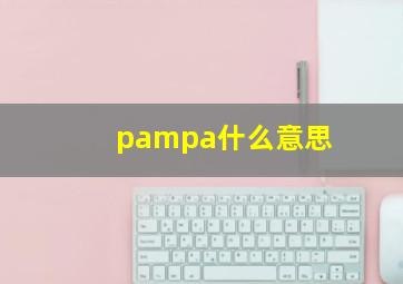 pampa什么意思