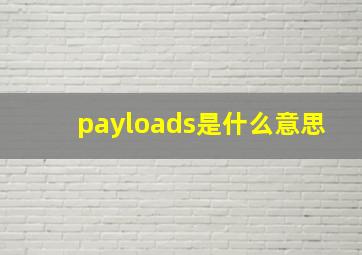 payloads是什么意思