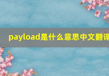 payload是什么意思中文翻译