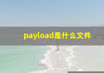 payload是什么文件