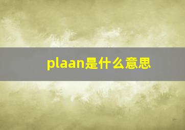 plaan是什么意思