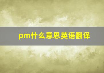 pm什么意思英语翻译