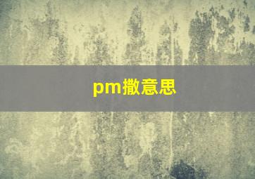 pm撒意思