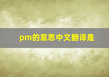 pm的意思中文翻译是