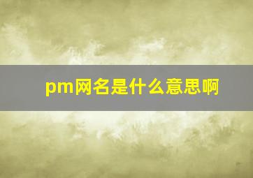 pm网名是什么意思啊