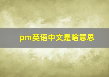 pm英语中文是啥意思