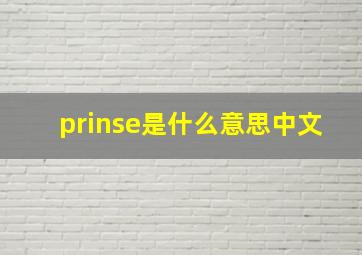 prinse是什么意思中文