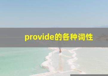 provide的各种词性