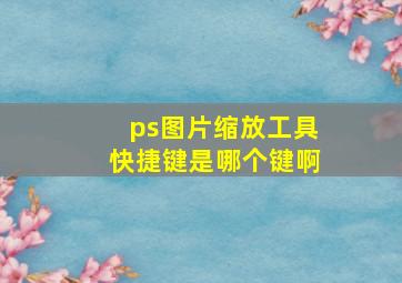 ps图片缩放工具快捷键是哪个键啊