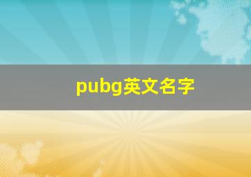 pubg英文名字