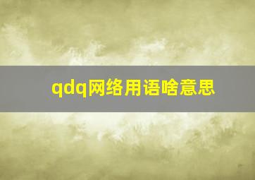 qdq网络用语啥意思