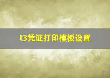 t3凭证打印模板设置