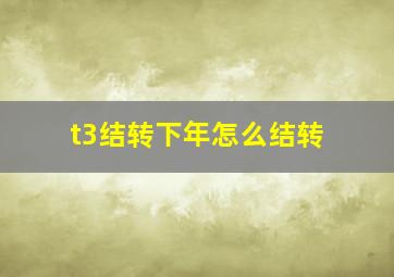 t3结转下年怎么结转