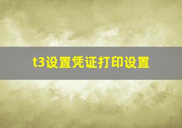 t3设置凭证打印设置