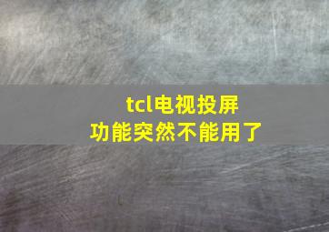 tcl电视投屏功能突然不能用了