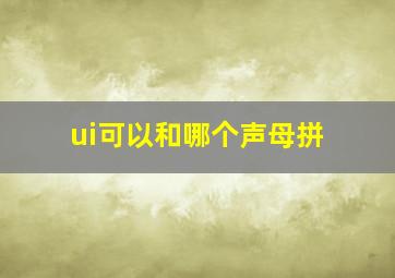 ui可以和哪个声母拼