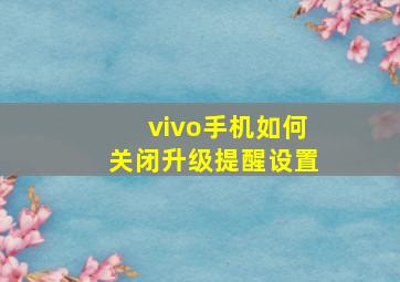 vivo手机如何关闭升级提醒设置