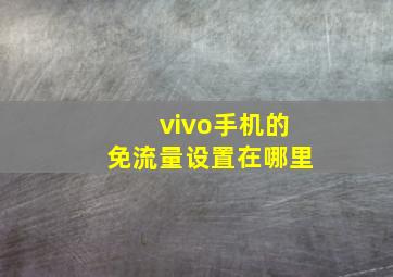 vivo手机的免流量设置在哪里