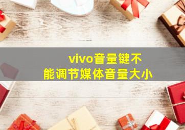 vivo音量键不能调节媒体音量大小