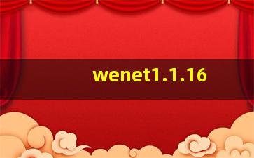 wenet1.1.16