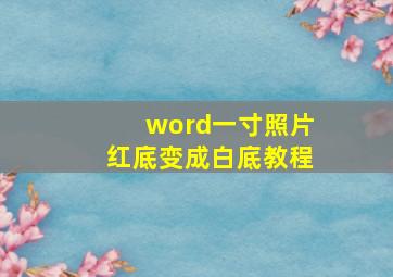 word一寸照片红底变成白底教程