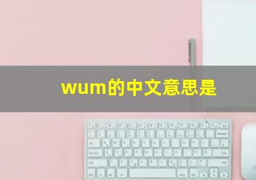 wum的中文意思是