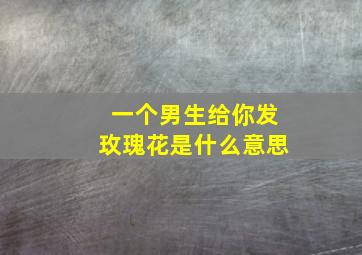 一个男生给你发玫瑰花是什么意思