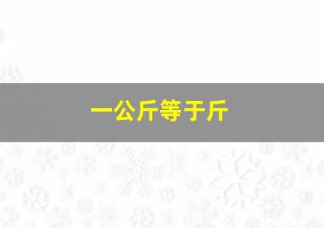 一公斤等于斤