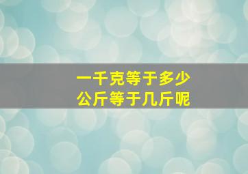 一千克等于多少公斤等于几斤呢