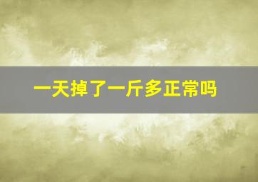 一天掉了一斤多正常吗