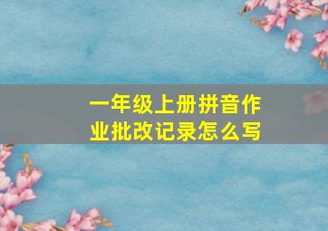 一年级上册拼音作业批改记录怎么写