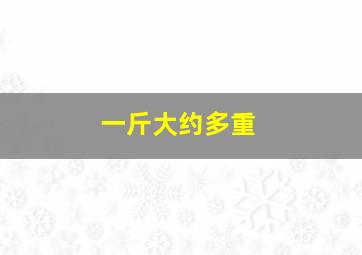 一斤大约多重