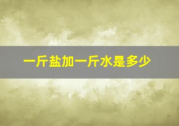 一斤盐加一斤水是多少