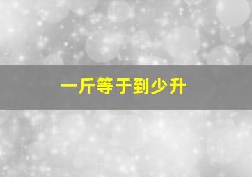 一斤等于到少升