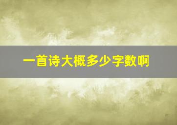 一首诗大概多少字数啊