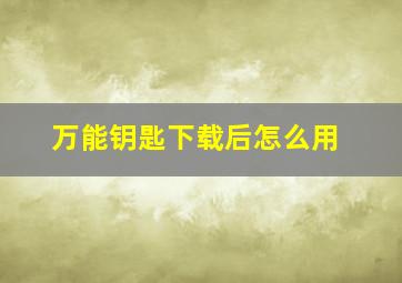 万能钥匙下载后怎么用