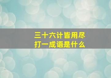 三十六计皆用尽打一成语是什么