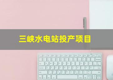 三峡水电站投产项目