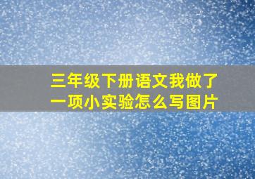 三年级下册语文我做了一项小实验怎么写图片