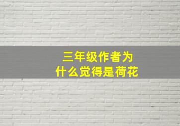 三年级作者为什么觉得是荷花