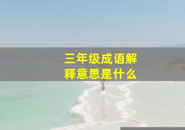 三年级成语解释意思是什么