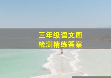 三年级语文周检测精练答案